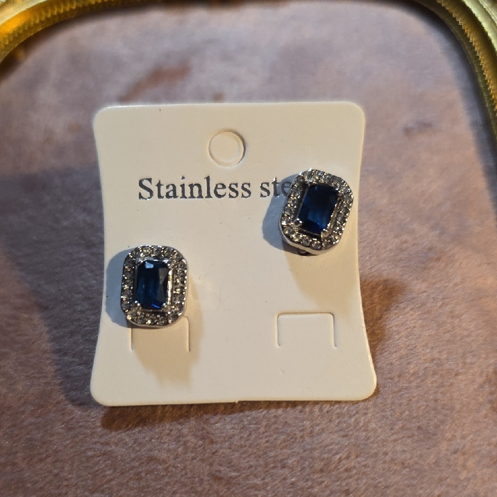 Blue Saphire and Stainless Steel  Stud Earrings NWT